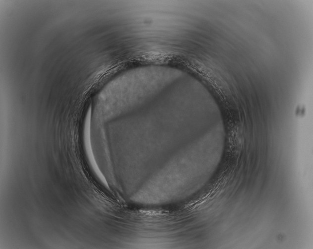 X0000098010693200804251115