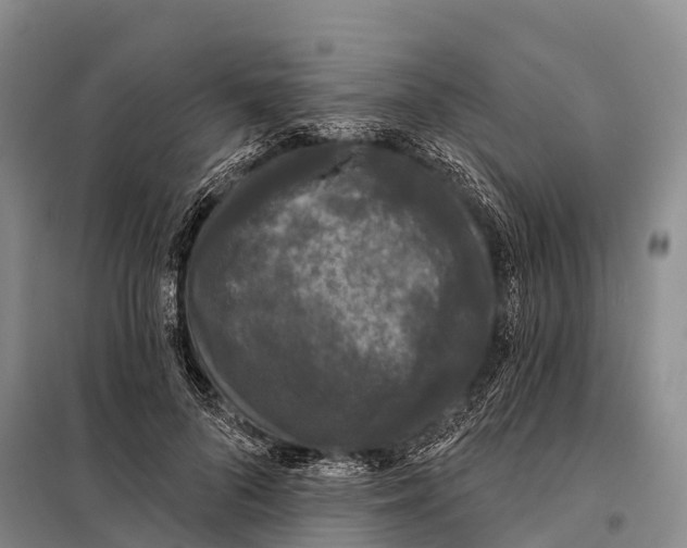 X0000098010696200804251115