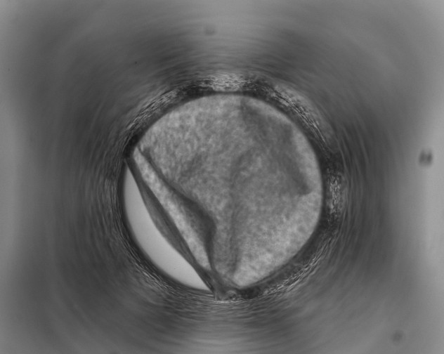 X0000098010697200804251115