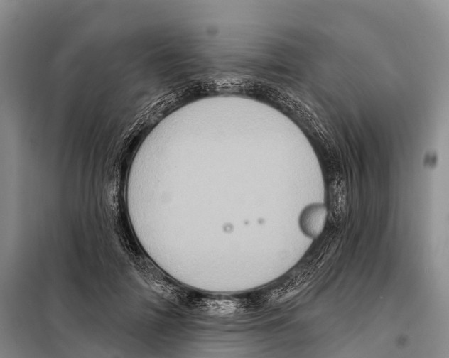 X0000098010698200804251115