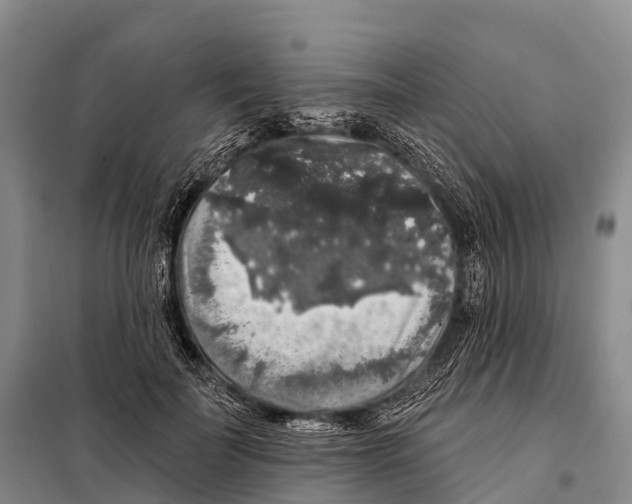 X0000098010699200804251114