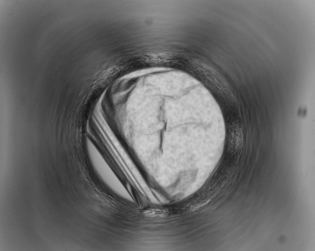 X0000098010700200804251114