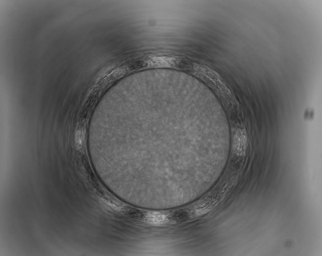 X0000098010701200804251114