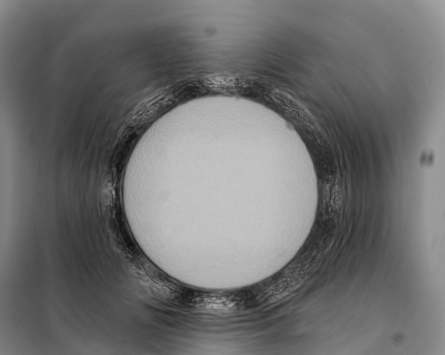 X0000098010702200804251114