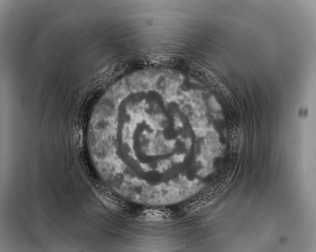 X0000098010703200804251114