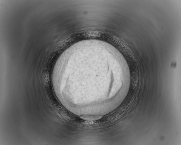 X0000098010704200804251114