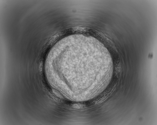 X0000098010708200804251114