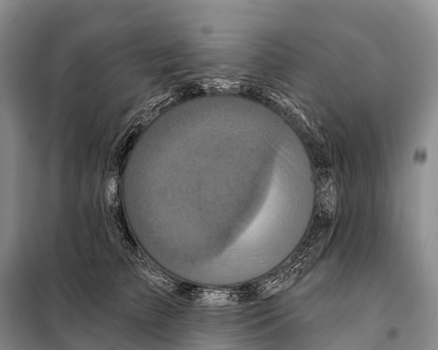 X0000098010709200804251114