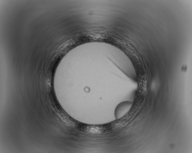 X0000098010710200804251114