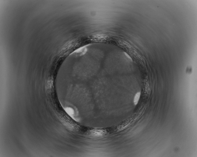 X0000098010711200804251114