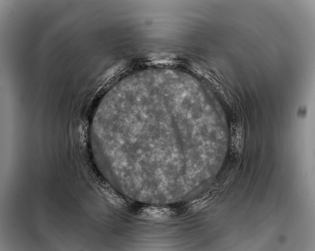 X0000098010712200804251114