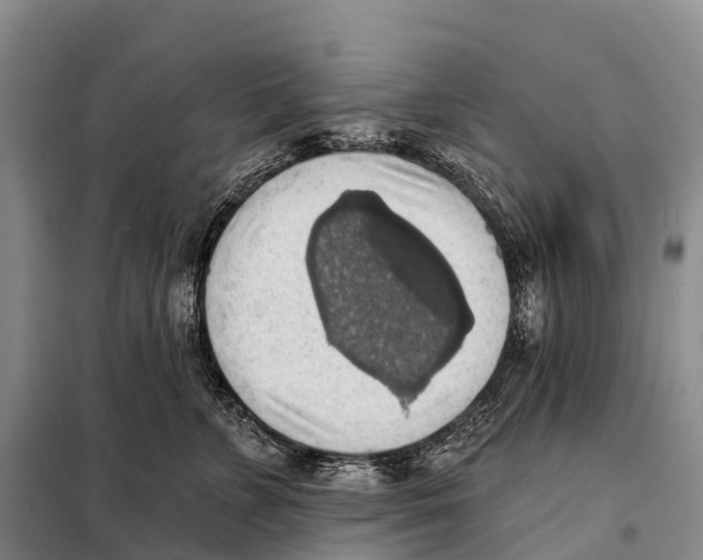 X0000098010715200804251114