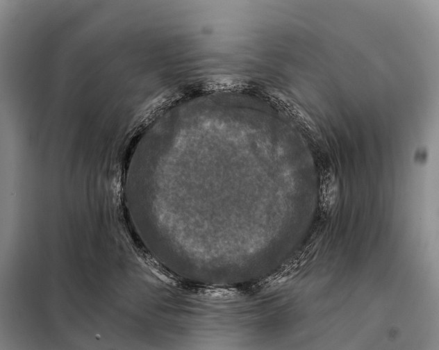 X0000098010716200804251114