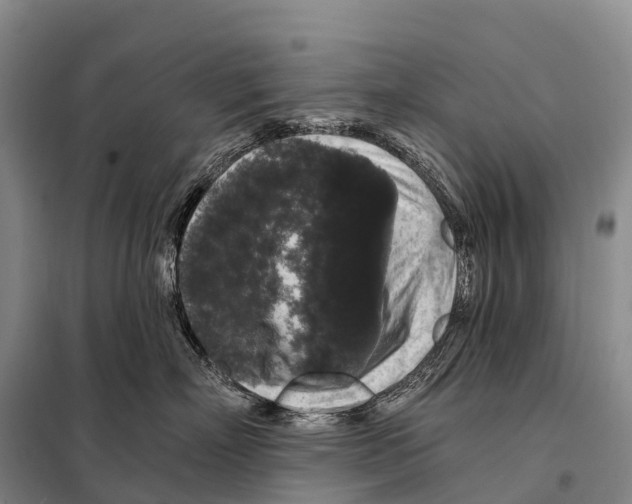 X0000098010718200804251114