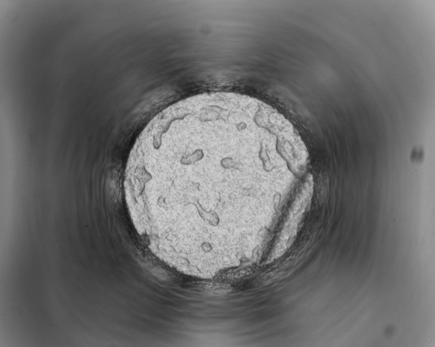 X0000098010719200804251114