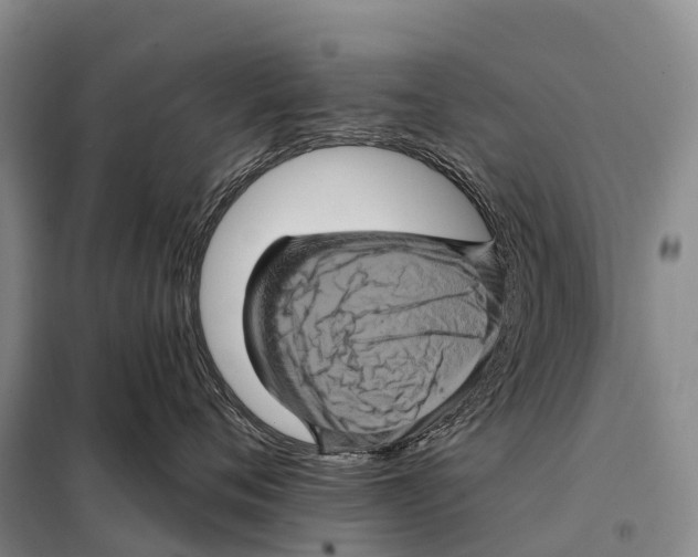 X0000098010720200804251114