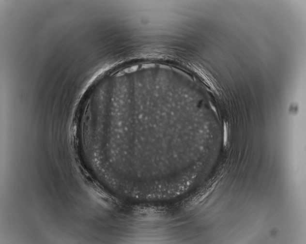 X0000098010723200804251113