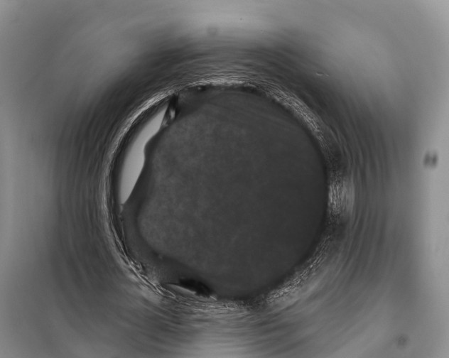 X0000098010724200804251114