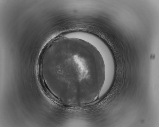 X0000098010726200804251114