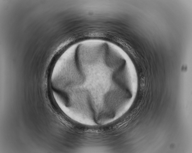 X0000098010727200804251114