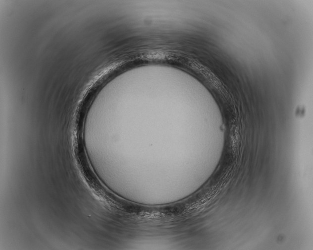 X0000098010728200804251114