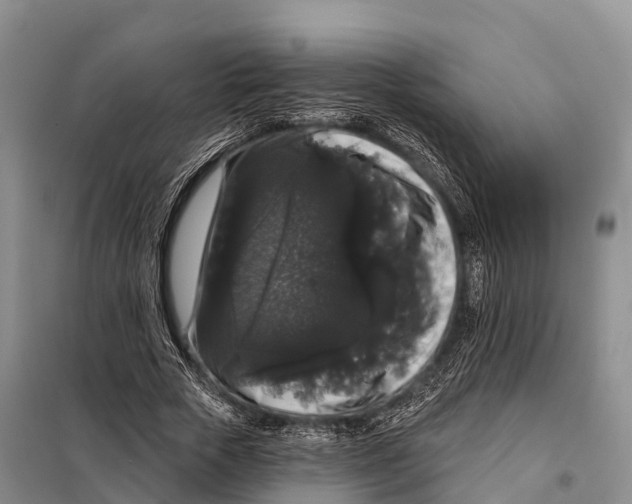 X0000098010729200804251114