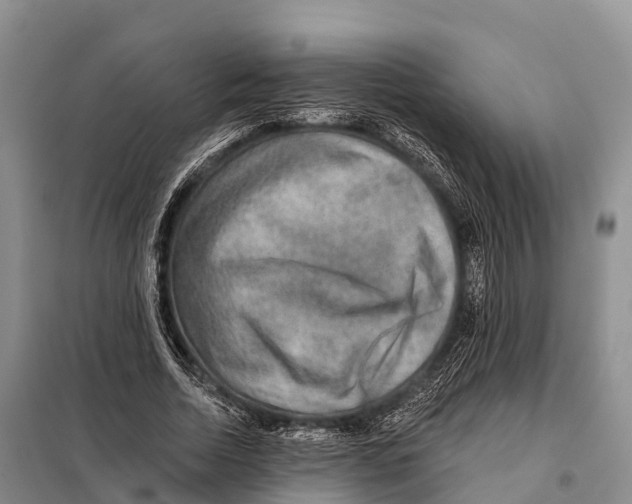 X0000098010730200804251114