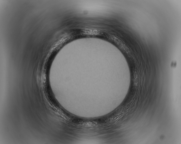 X0000098010731200804251114