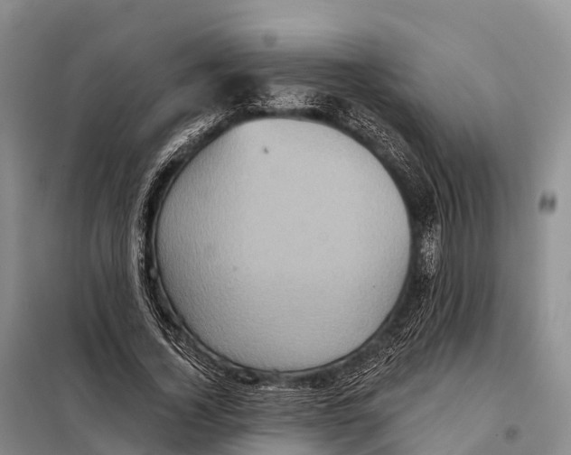 X0000098010732200804251114