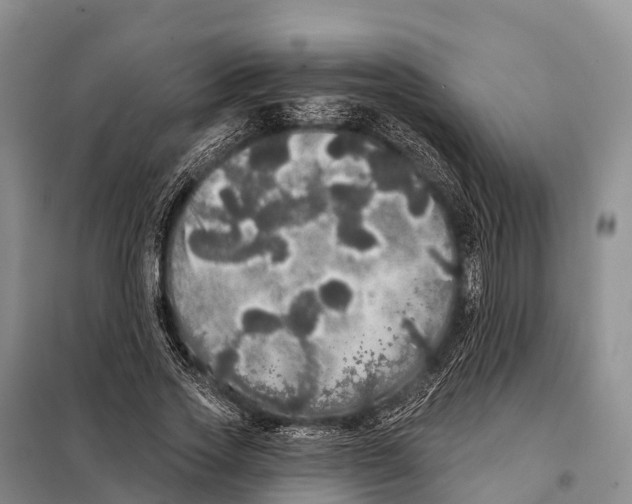 X0000098010733200804251114