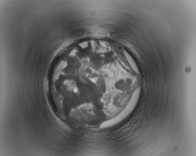 X0000098010734200804251114