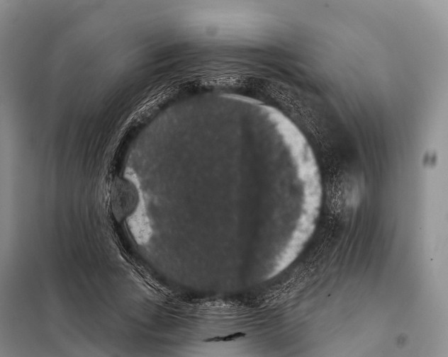 X0000098010735200804251114