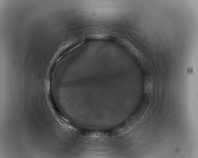 X0000098010736200804251114