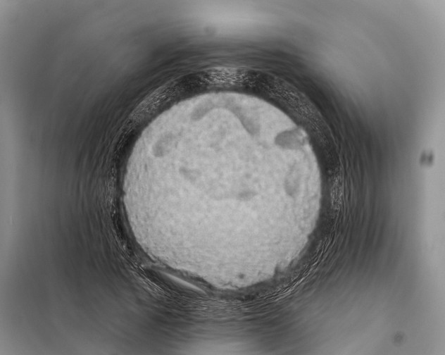 X0000098010737200804251114