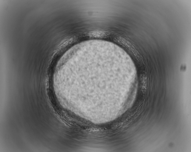 X0000098010738200804251114