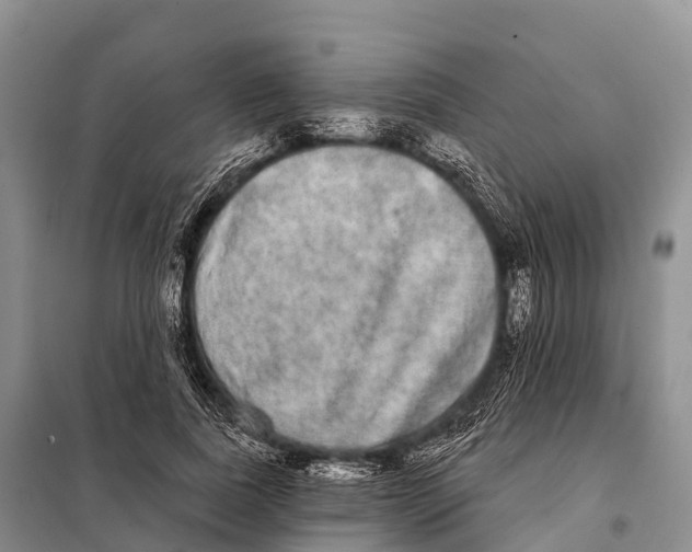 X0000098010739200804251114