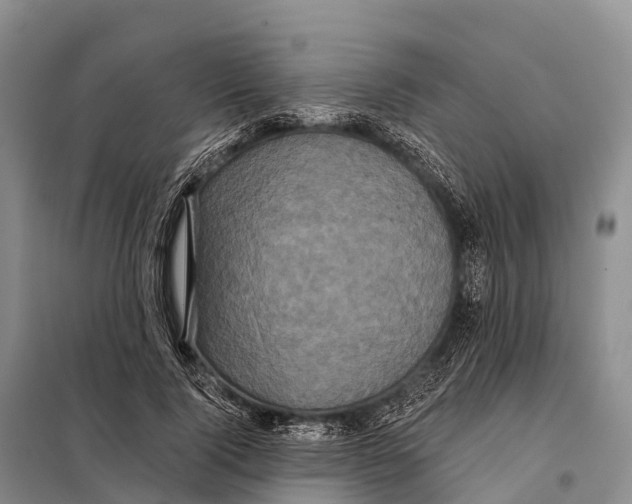 X0000098010740200804251114