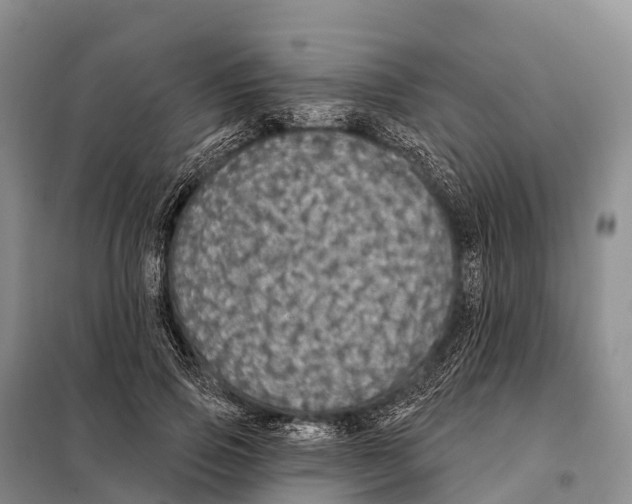 X0000098010741200804251114