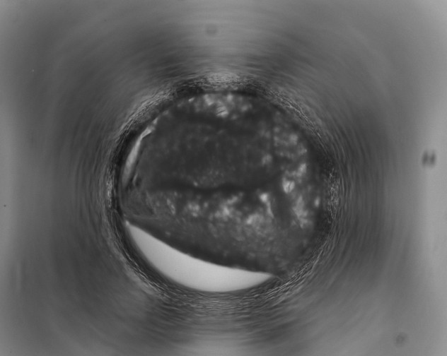 X0000098010742200804251114