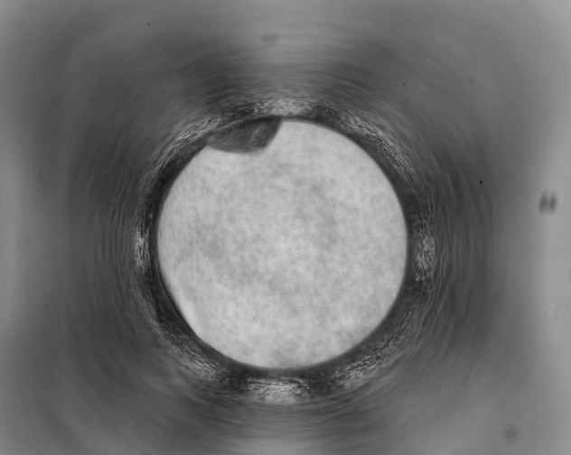 X0000098010743200804251114