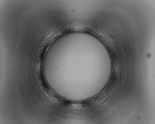 X0000098010744200804251114