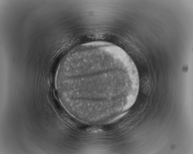 X0000098010747200804251114