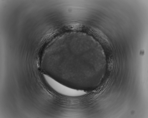 X0000098010748200804251114