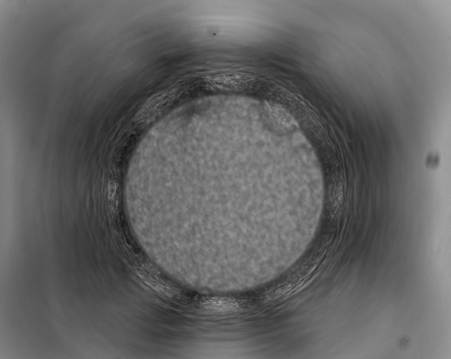 X0000098010749200804251114