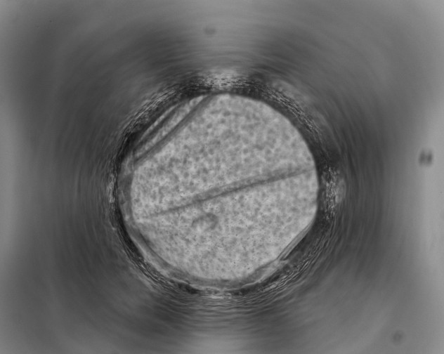 X0000098010750200804251114