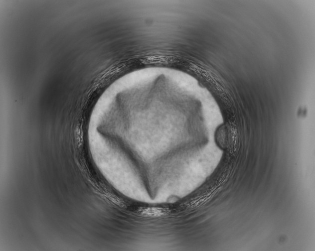 X0000098010751200804251114