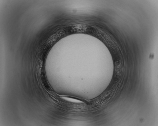 X0000098010752200804251114