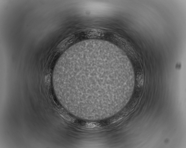 X0000098010753200804251114