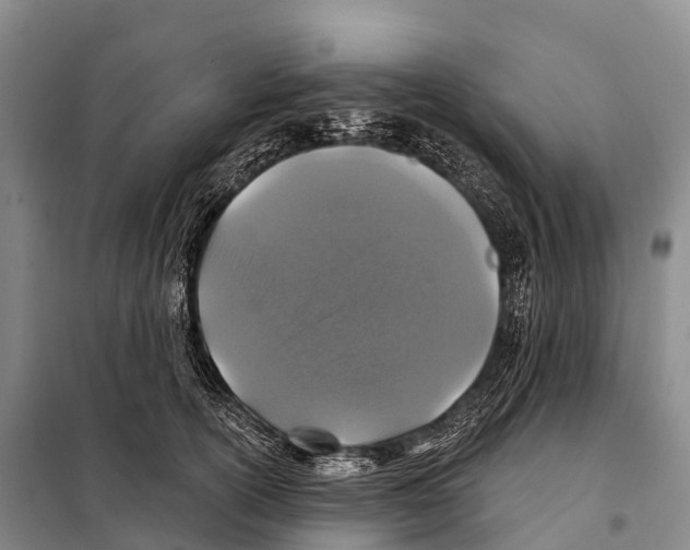 X0000098010754200804251114