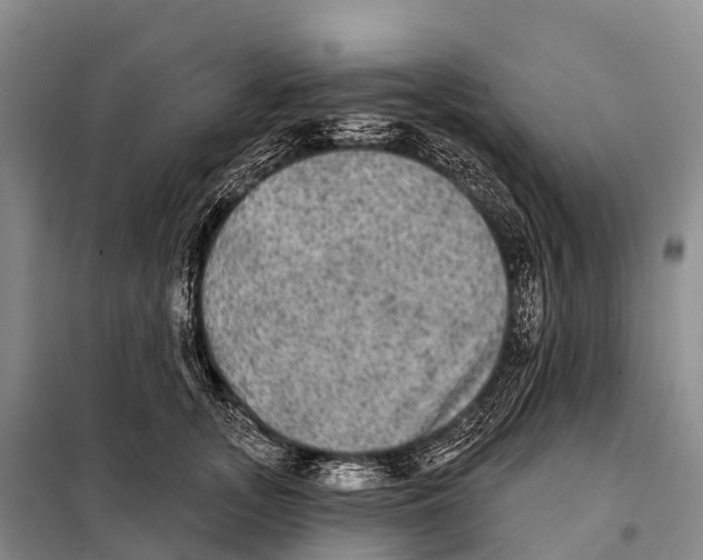 X0000098010755200804251114